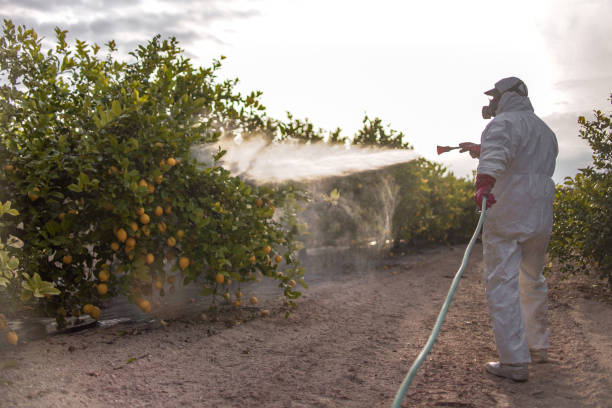 Best Bird Control  in Ahtanum, WA