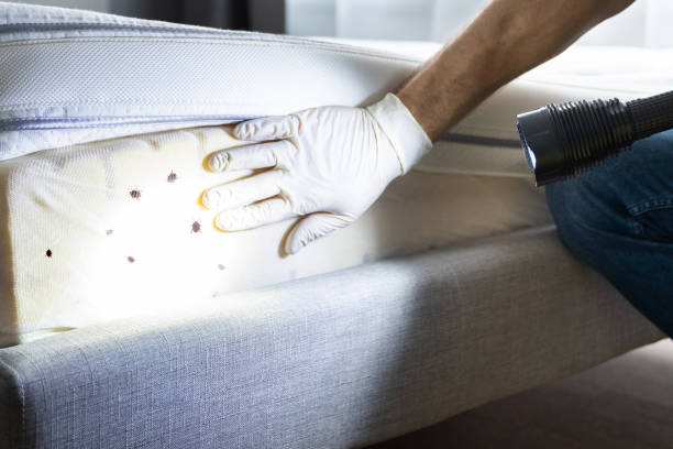 Best Exterminator Services  in Ahtanum, WA