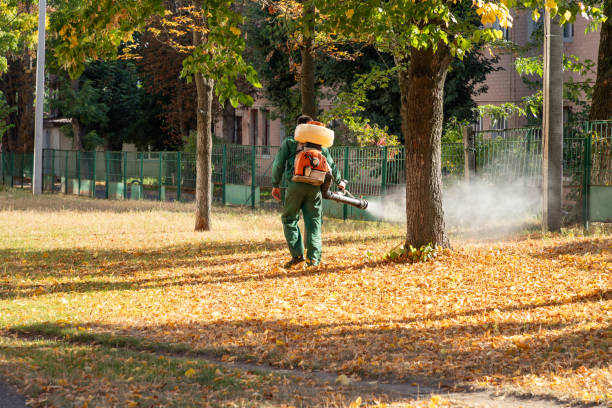 Best Termite Control Services  in Ahtanum, WA