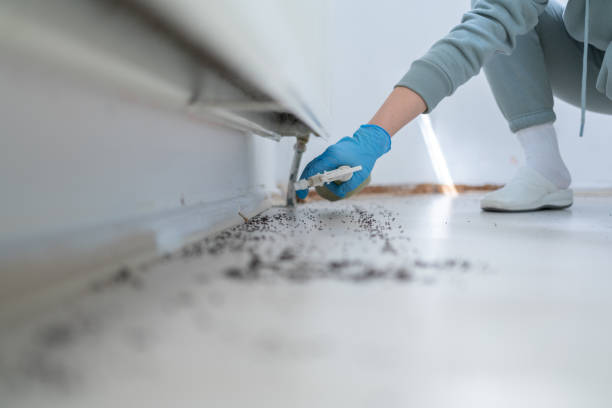 Reliable Ahtanum, WA Pest Control Solutions