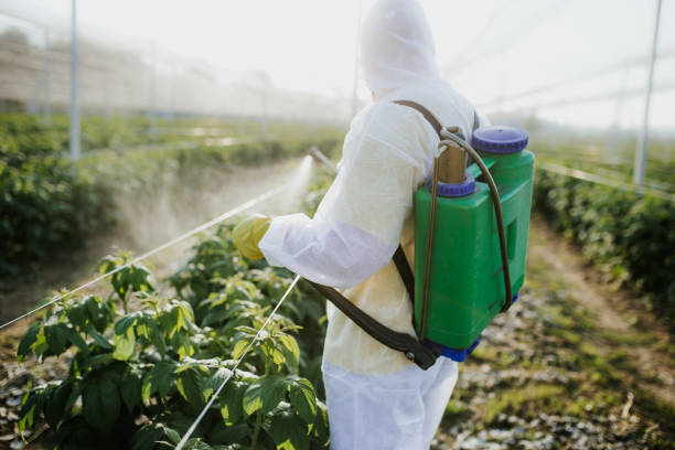 Best Pest Control Cost  in Ahtanum, WA